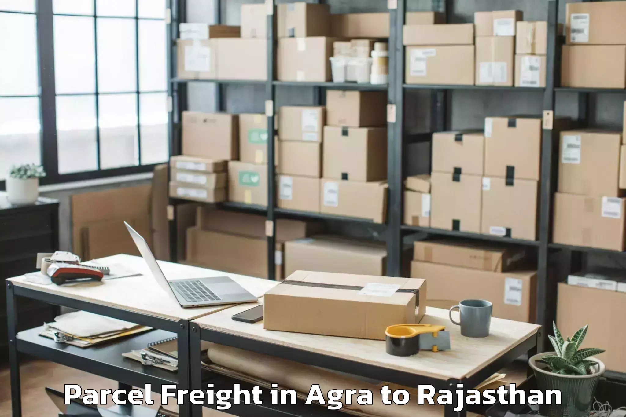 Affordable Agra to Sunrise University Alwar Parcel Freight